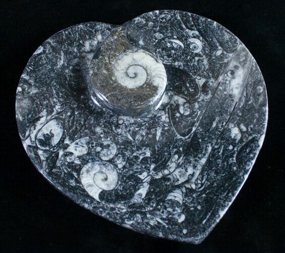 Heart Shaped Fossil Goniatite Dish #9007